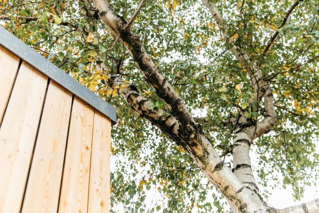 Carmen Eco-Pod / Treehouse, Close To Cabot Circus Bristol Exterior photo